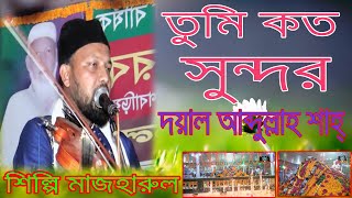 তুমি কত সুন্দর দয়াল আব্দুল্লাহ শাহ || শিল্লি মাজহারুল বাউল || সুরে বাউল