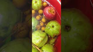 How to Say Guava, Apple, Longan in Khmer #Shorts