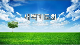 [대은교회 새벽예배] 2025. 01. 03 이사야 63장 8-10절