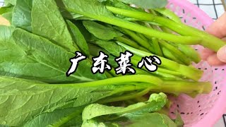 广东菜心怎样做才好吃？技巧会在视频里【覃厨说美食】