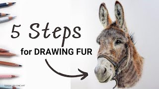 Draw Soft Fluffy Animal Fur - Step by Step Colored Pencil (beginner friendly tutorial) #petportrait