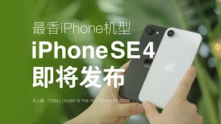 性价比超高的iPhone要来了，背刺iPhone16 ？#手机测评 #数码测评 #手机开箱