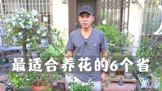 最适合养花的6个省份，第1名如同开挂般存在，小白去了也能变大神