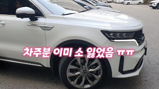 문콕 방지/2열 문콕이 제일 무섭지/한번도 작업 안한 차량은 있어도 한번만  한 차량은 없다는/강도 높은 ppf/diy/ 오늘 차량은 쏘렌토 mq4