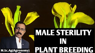 MALE STERILITY IN PLANT BREEDING