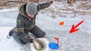 НЕ ЛЕЗЕТ в ЛУНКУ!!! ТАЩИ ЕЁ СЕРЕГА!!! РЫБАЛКА на ЖЕРЛИЦЫ в ГУСТЫХ КАМЫШАХ