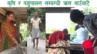 सहजै कृषि ऋण लिई व्यवसायीक किसान बनौं || Sana Kisan Krishi Sahakari Sanstha, Rautahat ||