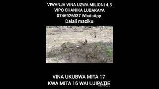 VIWANJA VINA UZWA MILIONI 4.5 VIPO CHANIKA LUBAKAYA JIJI LA ILALA/0746926037