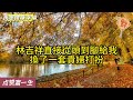 嫂子什麼都要和我比。我結婚老公給28萬彩禮，她結婚就要30萬。我家陪嫁車給老公開，她也要公婆給大伯哥買車。我結婚戴了大金鐲子，嫂子就借我的拿去充臉面。完婚就不還了，那大家都別過了 故事 小説 爽文