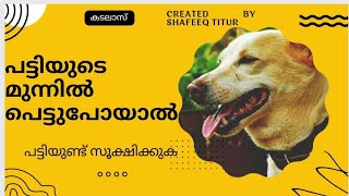 പട്ടിയുടെ മുന്നിൽ പെട്ടു പോയാൽ പട്ടിയുണ്ട് സൂക്ഷിക്കുക