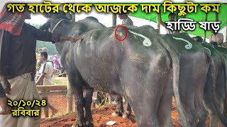 হাড্ডি ষাড় মহিষের বাজার দর | ইন্ডিয়ান হাড্ডি ষাড় | Buffalo market | MrRajshahi