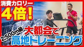 【オールスター感謝祭対策】たった30分で2時間分の効果がある高地トレーニングで追い込んできた