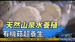 天然山泉水養殖 有機菇類超養生 |【民生八方事】| 2022030605 @gtvnews27