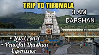 TIRUMALA TIRUPATI TRIP IN TAMIL | TIRUPATI DARSHAN VLOG DIML| TRAVEL VLOG DECEMBER 2020 |TTD DARSHAN