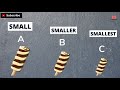 small smaller smallest concept class one comparison for class one comparison for kids nursery