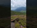 平治岳深山霧島 大分 2024.6.2 hiking mountains nature 山が好き 自然 春 登山 縦走 大分 ミヤマキリシマ 深山霧島 くじゅう連山