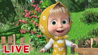 LIVE! 👉玛莎和熊 👱‍♀️📺 与玛莎快乐休假 📺🐻Masha and the Bear