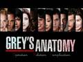 Grey's Anatomy Theme Song