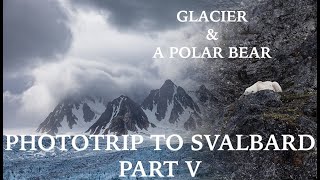 PHOTOTRIP to SVALBARD // GLACIER \u0026 A POLR BEAR // Part V