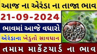 Arenda na bhav  | 25-09-2024 l એરંડા ના આજના ભાવ | Rajkot marketing yard and Patan marketing yard