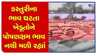 Low onion prices leave Bhavnagar farmers in tears |Gujarat |TV9GujaratiNews