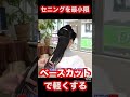 【多毛の人必見】山ちゃん流多毛カット術　ボリューム満点超多毛さんをカットでボリュームダウン