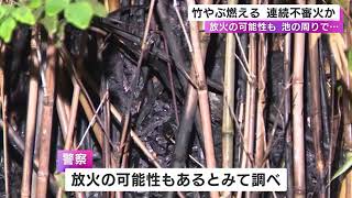 11日前には竹やぶやプレハブ小屋が…池周辺の竹やぶ燃える 火の気のない現場で放火の可能性含め捜査