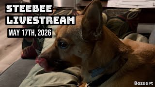 Steebee Stream May 17th 2026
