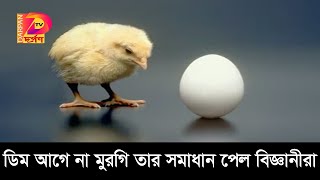 ডিম আগে না মুরগি তার সমাধান পেল বিজ্ঞানীরা- Darpan TV News