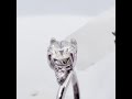 $6500 14k center diamond 0.67ct side diamond 0.55ct ring