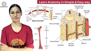 Poornima Sharma | Bone classification | Cancellous \u0026 Compact Bone | Haversian System | BPT Classes