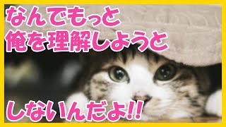 【スカッと 武勇伝】兄がヒキニートになってしまった。長男大事！で兄を甘やかしていた両親がついに覚醒し、兄に内緒で家を売り払った結果ｗ【デイリー スカッと】