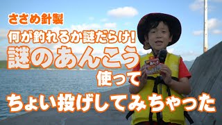 【7歳/小学生/釣り】ささめ針謹製 「謎のあんこう」を使って、防波堤から「ちょい投げ」してみちゃった