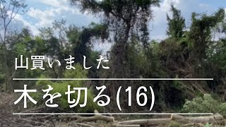 山開拓　木を切る(16)