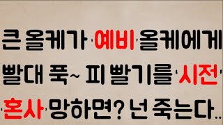 [올'개'주의] 큰 올케가 ‘예비’올케에게...빨대를 푹~ 피 빨기를 ‘시전’했네?? 너 내 말 잘 들어.. 만약 이‘혼사’망하면? 넌 내 손에 죽는다.. 반드시...