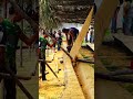 Mengeluarkan sisa potongan kayu jalur #viralvideo #pacujalur #feedshorts #woodworking #fyp