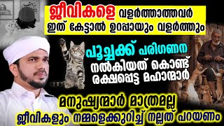 പൂച്ചയെ വളർത്താത്തവർ ഇത് കേട്ടാൽ ഉറപ്പായുംവളർത്തും മനുഷ്യർമാത്രമല്ല ജീവികളുംനമ്മളെപറ്റി നല്ലത് പറയണം