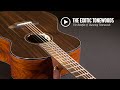 Breedlove Guitars: Talking Exotic Tonewoods in the Custom Shop