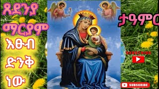 #ጸደንያ ማርያም የእመቤታችን ታዓምር ዕጹብ ድንቅ ነው