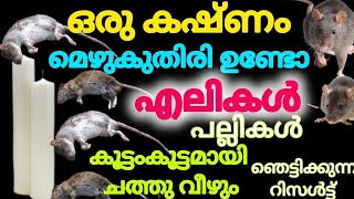 ഒരു കഷ്ണം മെഴുകുതിരി മതി എലികൾ പല്ലികൾ വംശപരമ്പര തന്നെ നശിക്കും|ശരിക്കും ഞെട്ടിച്ചു