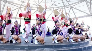 賜天覧再現阿波踊り「娯茶平」徳島夏の阿波おどり2018@アミコドーム