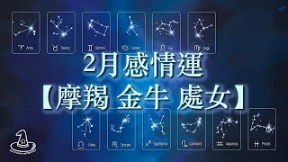 塔羅 星座運勢 | 2月感情運 #摩羯座♑️ #金牛座♉️ #處女座♍️ 【#十二星座 #塔羅占卜 + 祈願】無時限⏳ #星座 #塔羅 國語