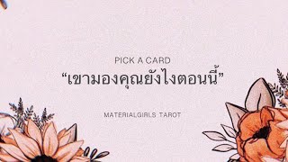 Pick a Card : เขามองคุณยังไงตอนนี้? รู้สึกยังไง? 🦁 Timeless