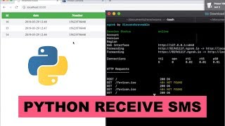 Python receive SMS project tutorial with SMS API connection