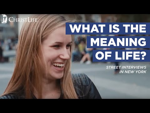 What is the purpose of a street?