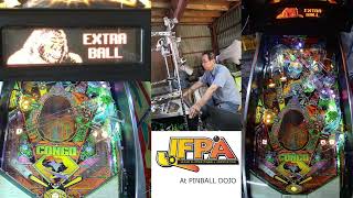 Playing Pinball Congo 2022/07/24