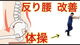 【反り腰改善】たったの10回+10秒やるだけ　横浜市中区関内【腰痛専門】整体院桜花