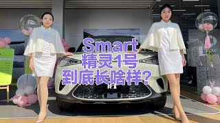 奔驰Smart精灵1号，有什么配置？