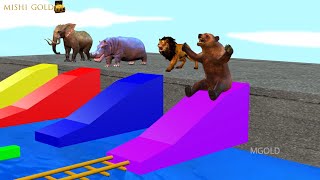 Choose the Right Mystery Drink with Elephant Mammoth Gorilla Cow Hippo  Level Long Stairs Squeeze