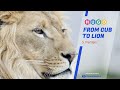 Hugo Beginner Tutorial — #3 Hugo Partials